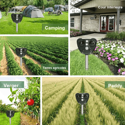 Répulsif Ultrasonique Solaire Jardin Protection Durable