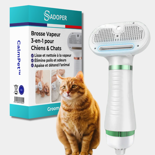 Brosse Vapeur Multi-Usage pour Animaux de Compagnie - blxckfr