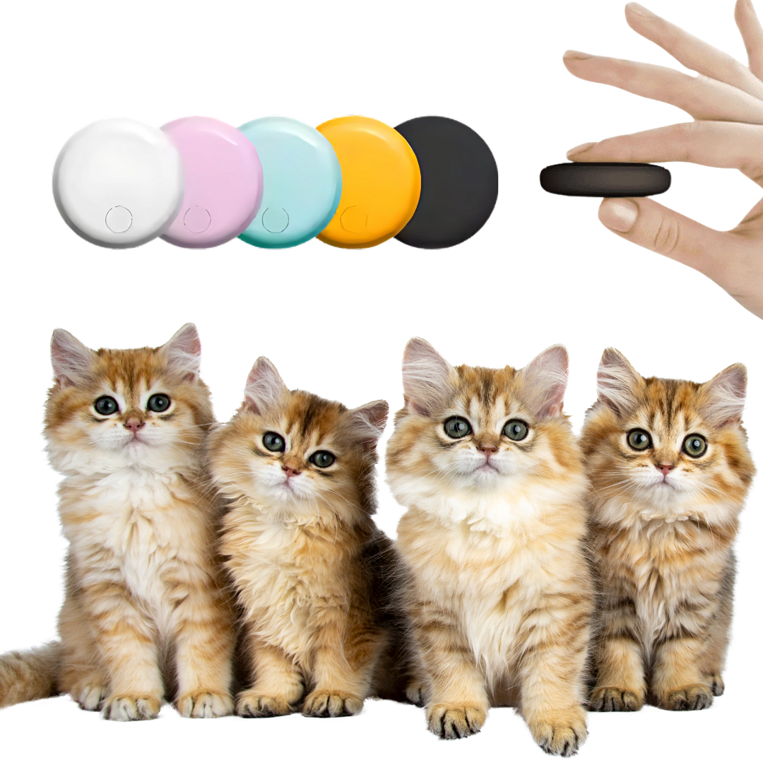 Traceur GPS pour Chats - Portée Illimitée et Sans Abonnement - blxckfr