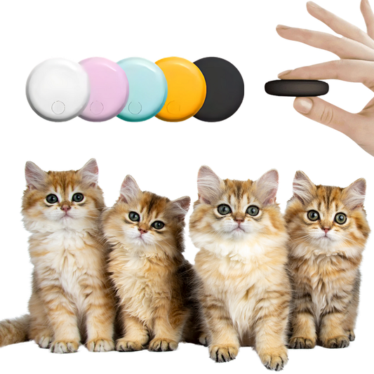 Traceur GPS pour Chats - Portée Illimitée et Sans Abonnement - blxckfr