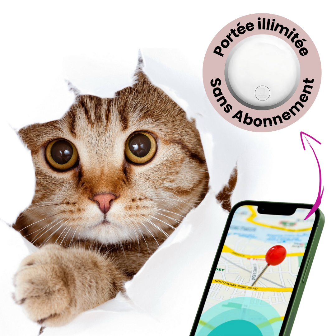 Localisateur GPS pour Chat, Suivi Partout Sans Abonnement - blxckfr
