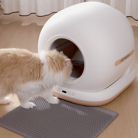 Litière Automatique Pour Chat Intelligent - BlxckFR