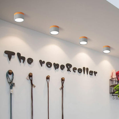 Lumière Élégante - Lampe Plafond Design Petite