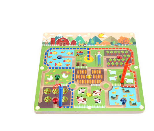 Jeu de Labyrinthe Magnétique Éducatif pour Enfants - BlxckFR