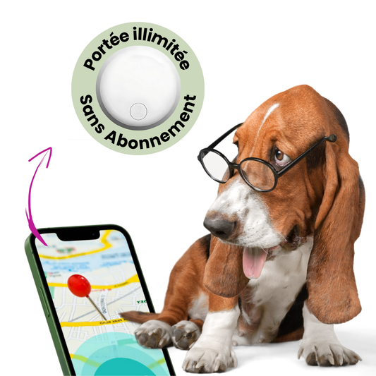 Collier GPS Anti-Perte pour Chien - Sécurité Complète - blxckfr