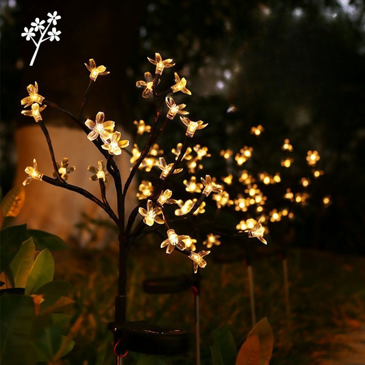 Lampes Extérieures Solaires Éco avec LED Lumineuses - Foivo