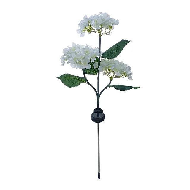 Lampe Solaire de Jardin Étanche