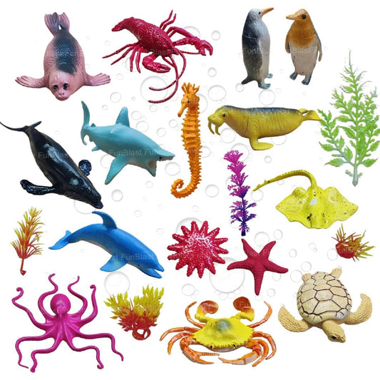 Jeux de Plage Enfant avec Animaux Marins - BlxckFR