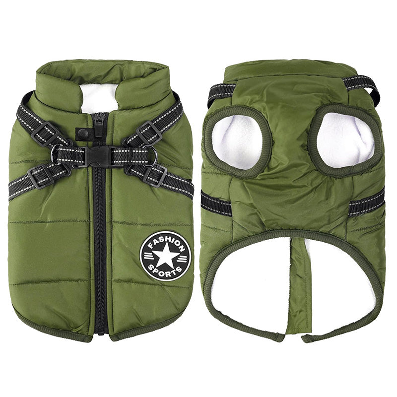Manteau Chien Douillet Hiver