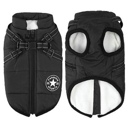 Manteau Chien Douillet Hiver