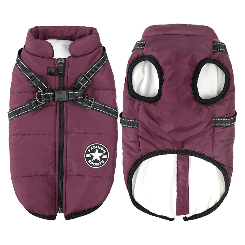 Manteau Chien Douillet Hiver