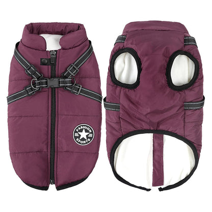 Manteau Chien Douillet Hiver