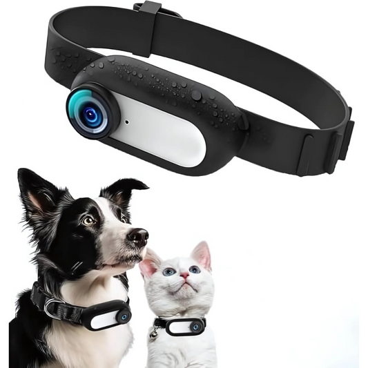 Caméra Chien HD 1080P - Suivez Vos Pets en Vidéo Haute Définition - blxckfr