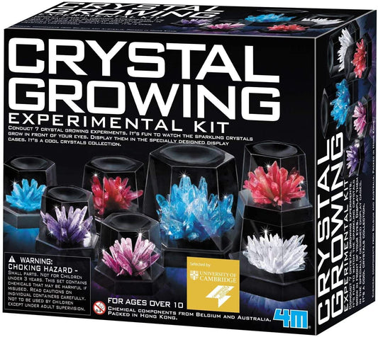 Terrarium Dino Magique en Cristal - BlxckFR