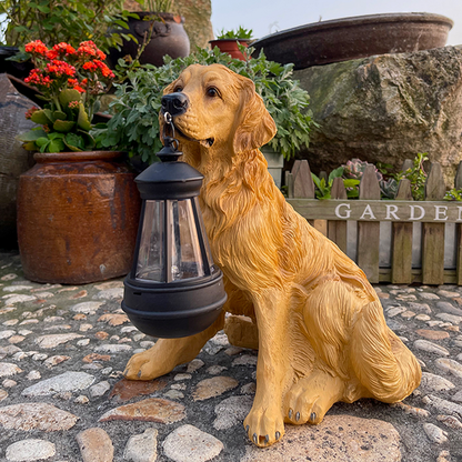 Lanterne Solaire Amusante pour Jardin