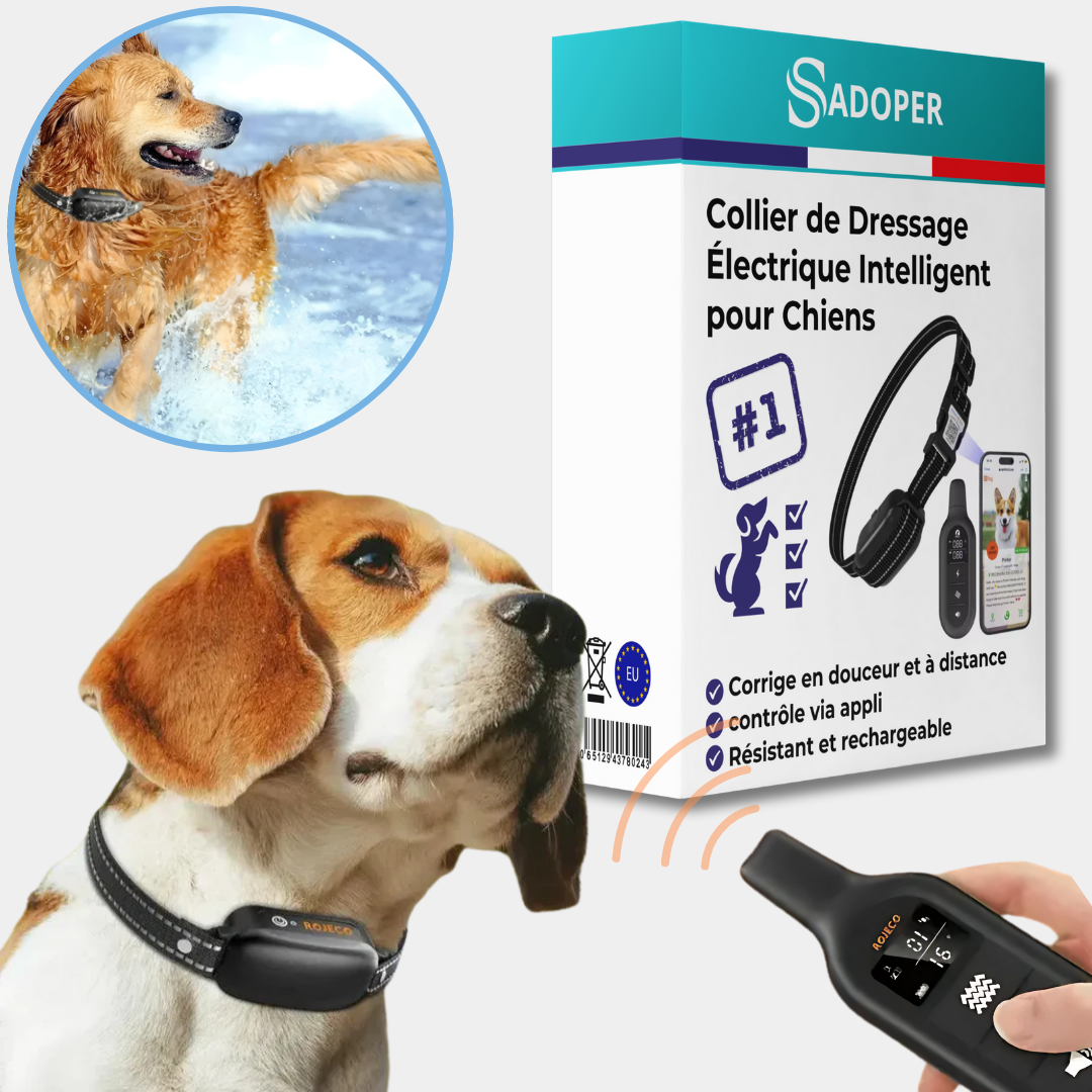 Collier Anti-Aboiement Électronique pour Chien - blxckfr