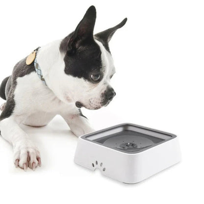 Bol à eau pour animaux antidébordement - BlxckFR