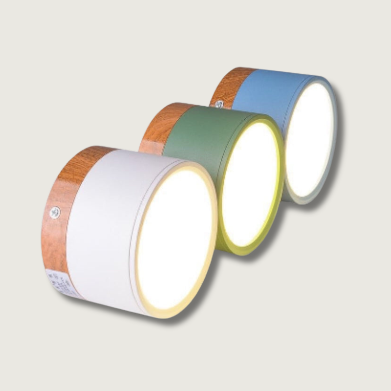Luminaire LED Élégant Plafond Bas Consommation - Foivo