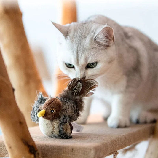 Jouet Chat Oiseau Sonore Amusant - BlxckFR