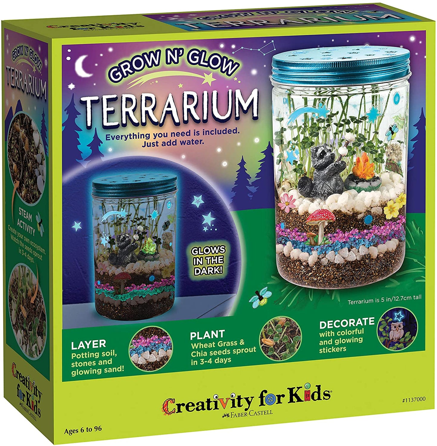 Kit de Culture de Plantes Mini Jardin de Verre Coloré - BlxckFR