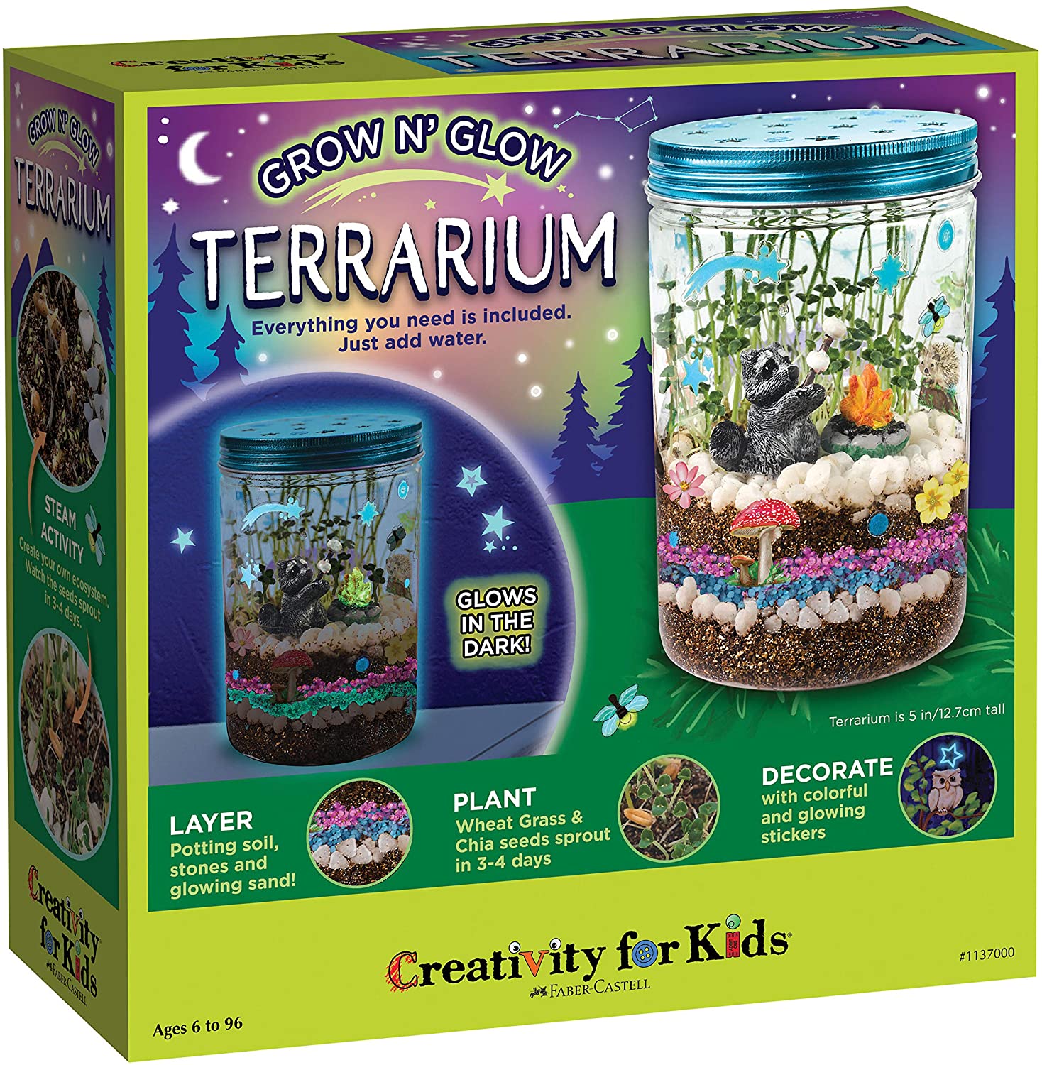 Kit de Culture de Plantes Mini Jardin de Verre Coloré - BlxckFR
