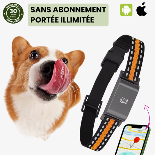 Collier GPS pour Chien sans Abonnement, Localisation Illimitée - blxckfr