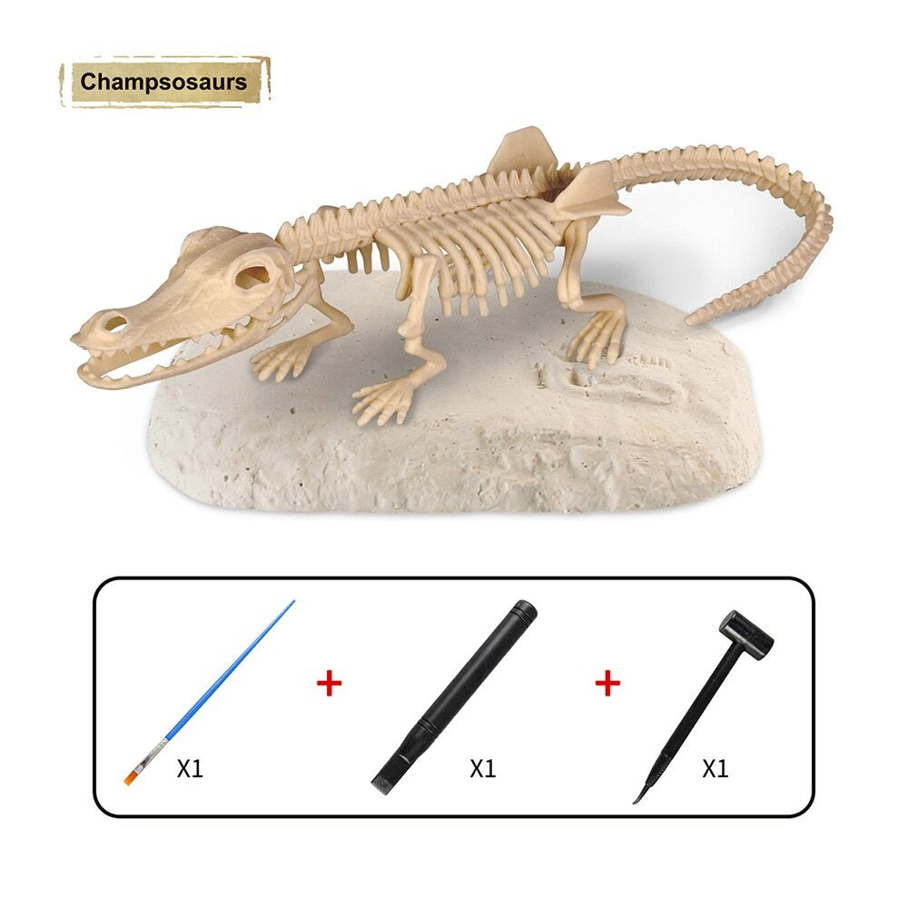 Kit Découverte Dinosaure - Fouille et Décoverte de Fossiles Préhistoriques