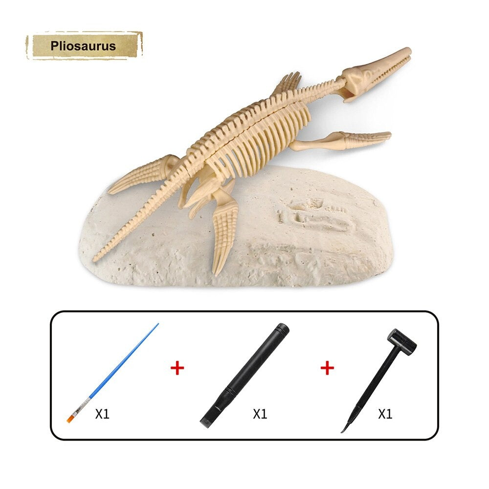 Kit Découverte Dinosaure - Fouille et Décoverte de Fossiles Préhistoriques