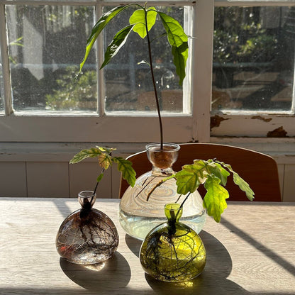 Vase Acorn ambiance déco