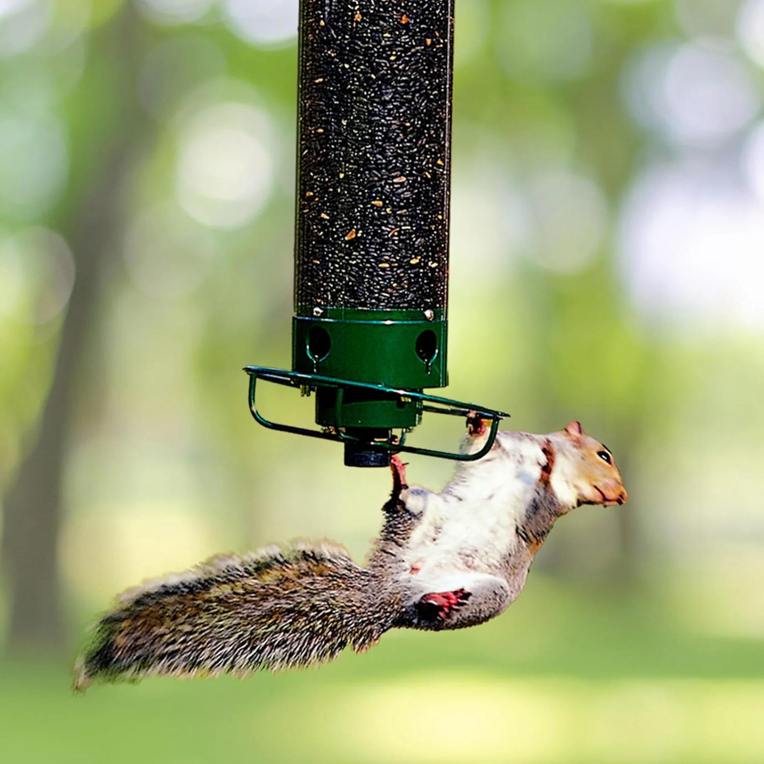 Niche à Oiseaux Métal Étanche aux Écureuils - Foivo