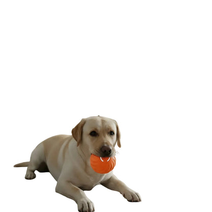 Balle Interactive Chien Automatique Mouvement Amusement Actif - Foivo