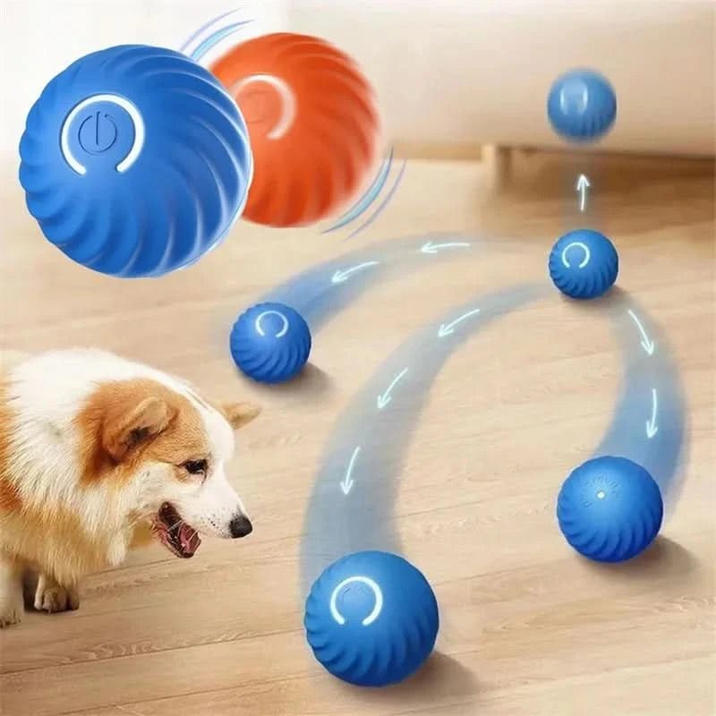 Balle Interactive Chien Automatique Avec Mouvement Pour Amusement Actif 1