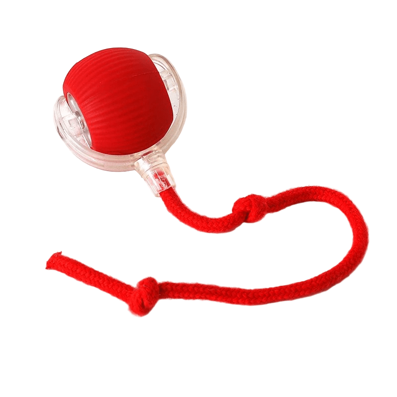 Balle Interactive Chien Automatique Avec Mouvement Pour Amusement Actif 11