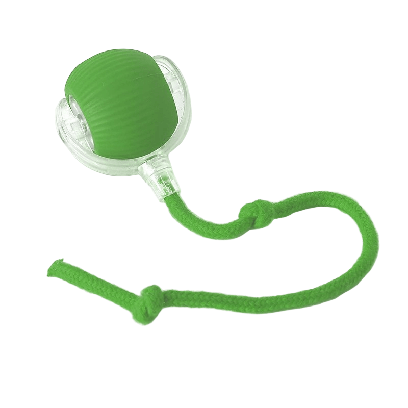 Balle Interactive Chien Automatique Avec Mouvement Pour Amusement Actif 16