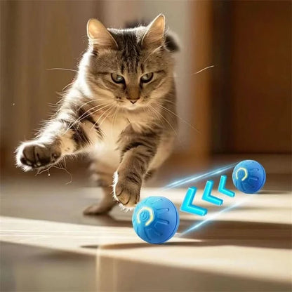 Balle Interactive Chien Automatique Avec Mouvement Pour Amusement Actif 3