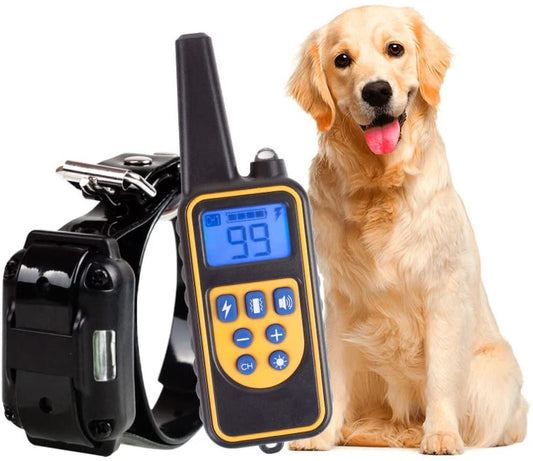 Collier Électronique pour Chien | Waterproof et Grande Portée - Foivo