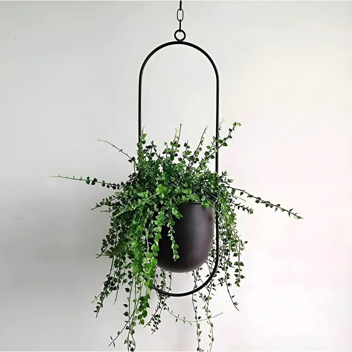 Jardinière Extérieure Décorative
