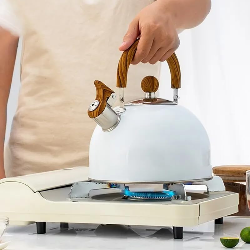 Bouilloire Réglable Sifflet Pratique pour Cuisine 2