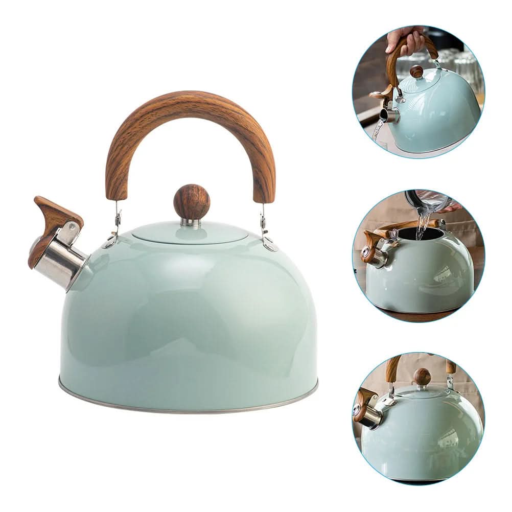 Bouilloire Sifflante Classique 3L Design Intemporel 3