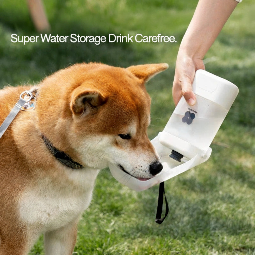 Bouteille d'eau portable pour chiens et chats 1