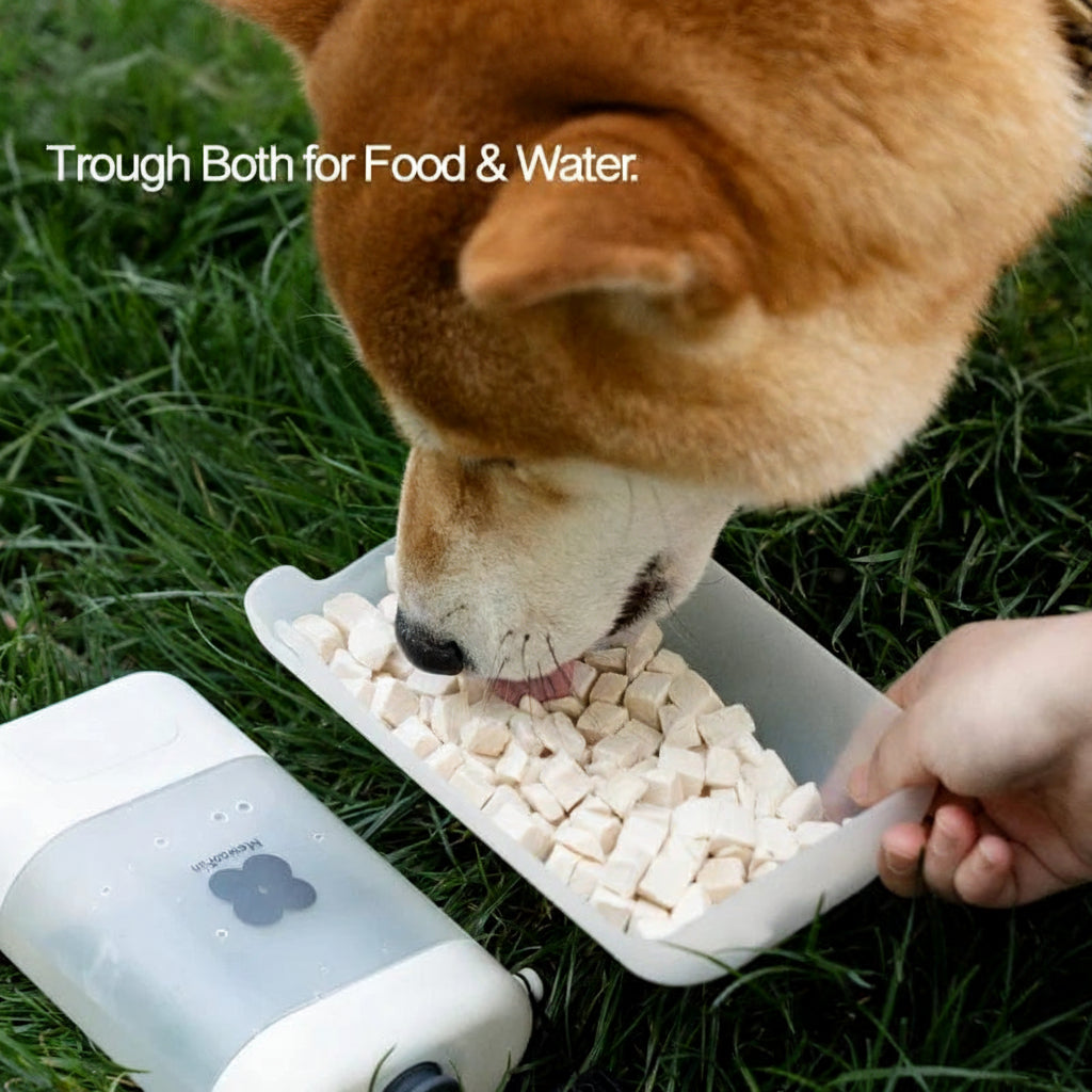 Bouteille d'eau portable pour chiens et chats 2