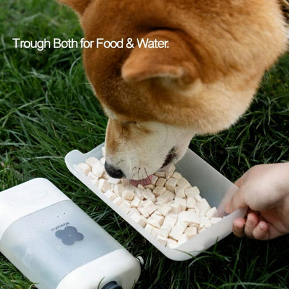 Bouteille d'eau portable pour chiens et chats 2