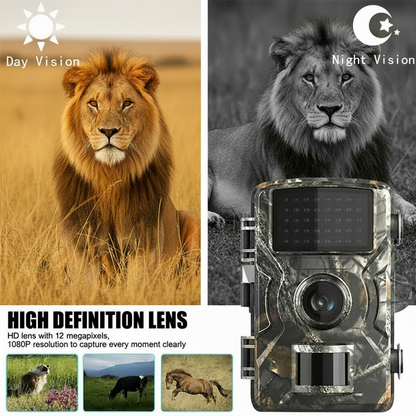 Caméra de Surveillance Extérieure TrailScout 7
