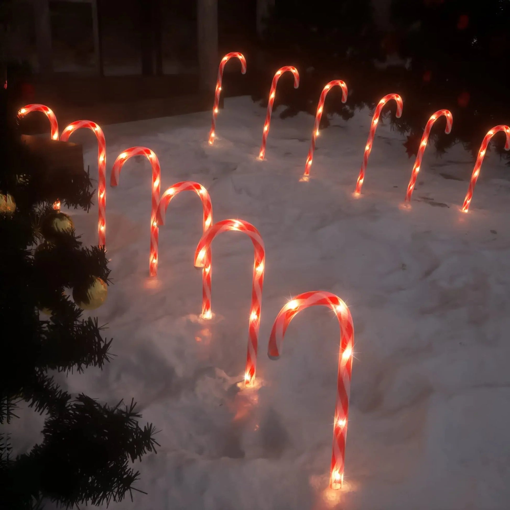 Lumière de Noël Étanche LED Extérieur - Foivo