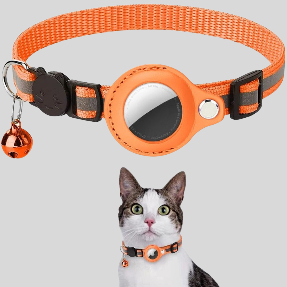 Collier GPS Réfléchissant Sécurité Chat
