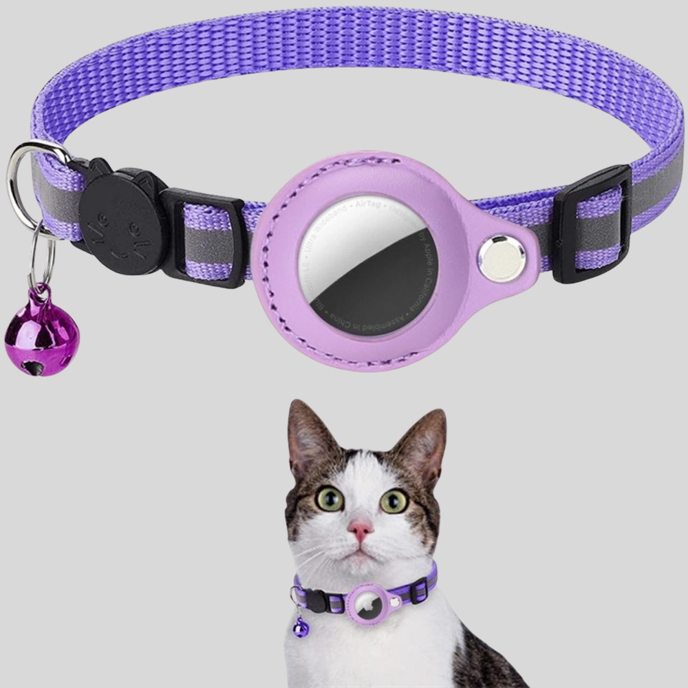 Collier GPS Réfléchissant Sécurité Chat