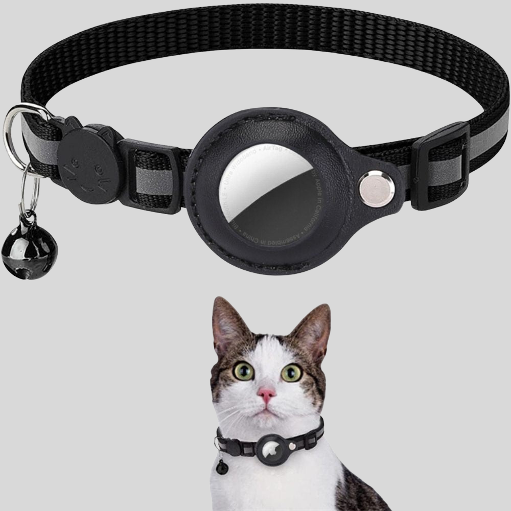 Collier GPS Réfléchissant Sécurité Chat - BlxckFR