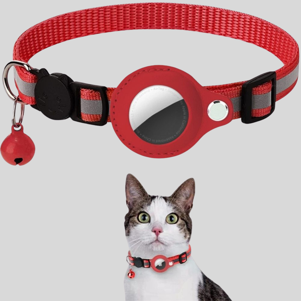Collier GPS Réfléchissant Sécurité Chat