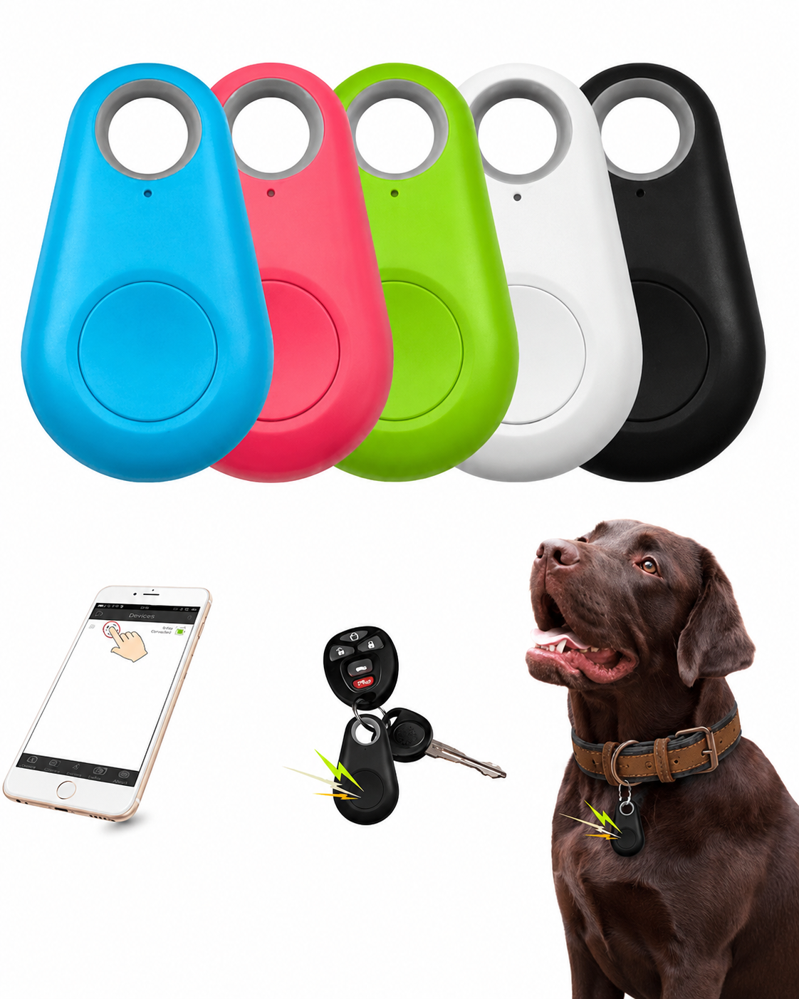 Traceur GPS Animaux de Compagnie Compact