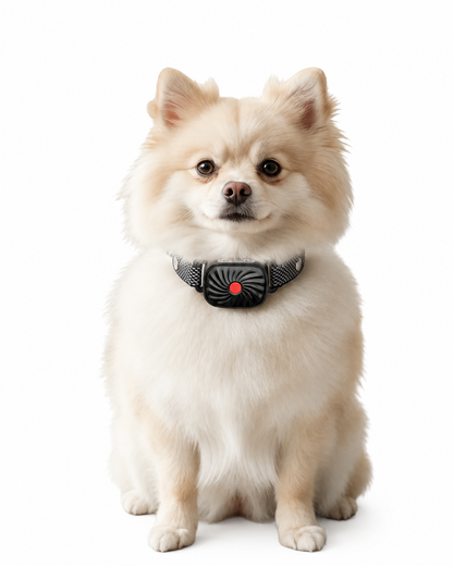Collier Anti-aboiement Chien Petit Taille Son Vibration - Foivo